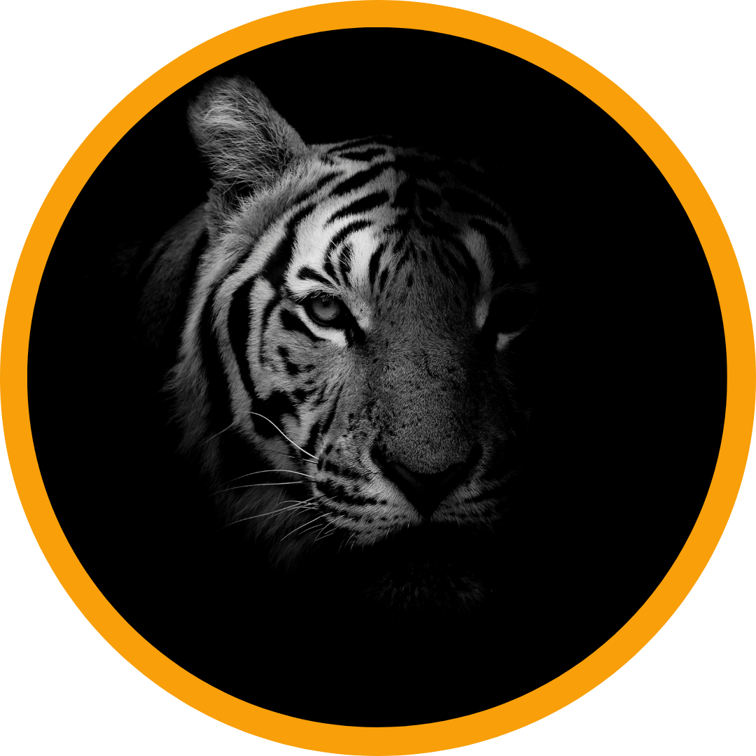 The WordPress Appearance Guide