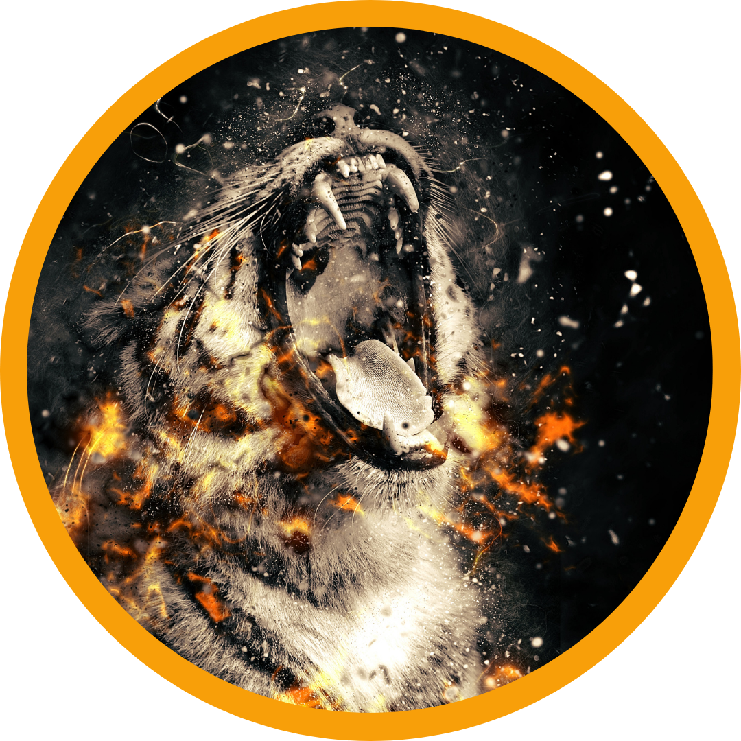 Understanding User Roles in WordPress