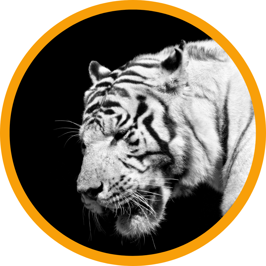 WordPress Discussion Settings