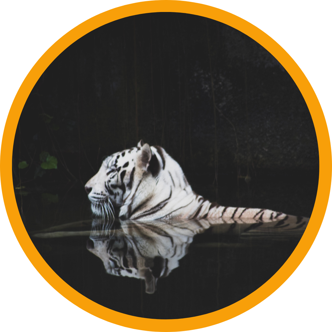 WordPress Permalinks Guide