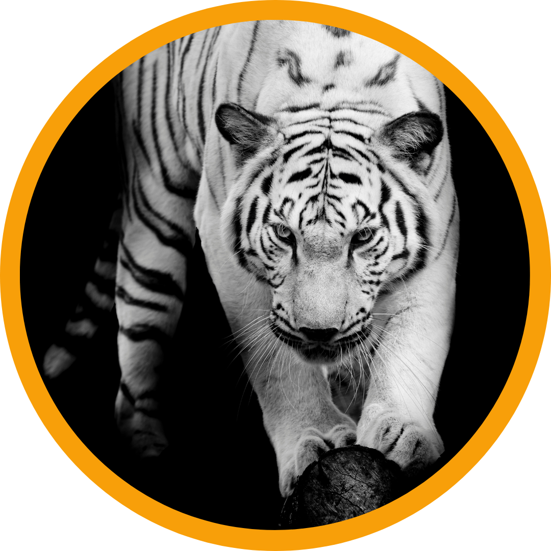 WordPress Plugin Guide