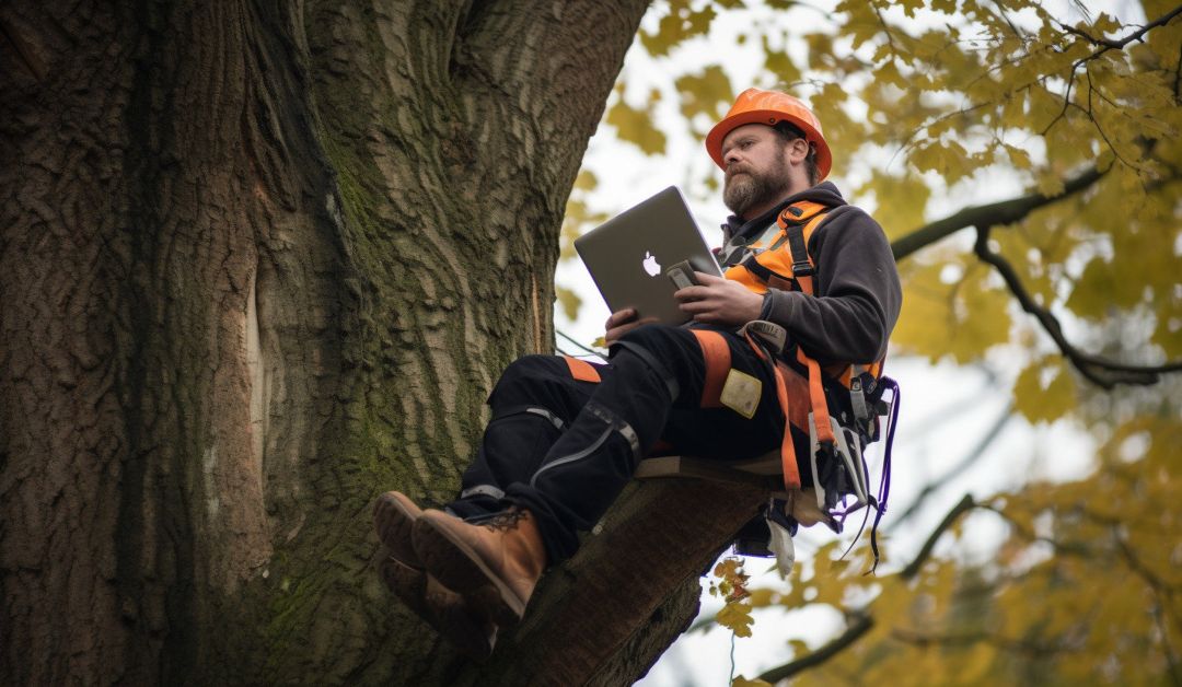 An Example Of A Tree Surgeon'S Monthly Newsletter.