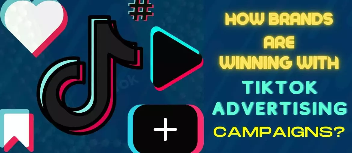 How Brands Are Winning with TikTok Advertising Campaigns | 2Stallions