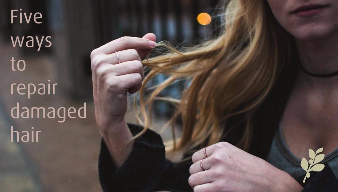 Top 5 Tips For Reparing Damaged Hair Salon Inspiration