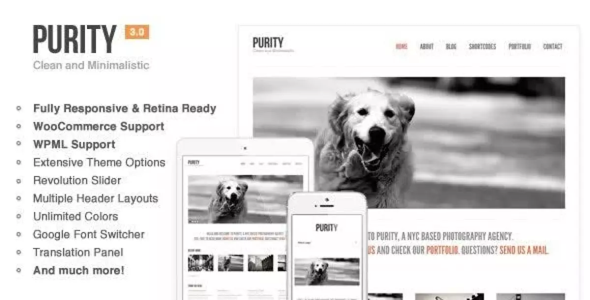 Purity: Responsive, Minimal & Bold WP Theme