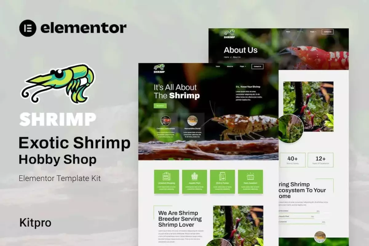 Shrimp - Aquarium &amp; Hobby Shop Elementor Template