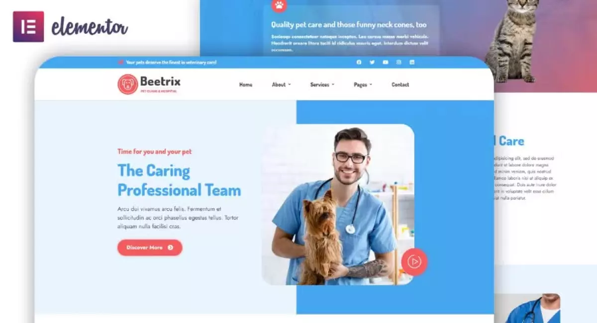 Beetrix - Pet Clinic & Hospital Elementor Template