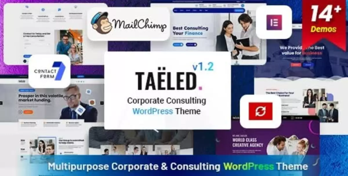 TAELED - Business Consulting