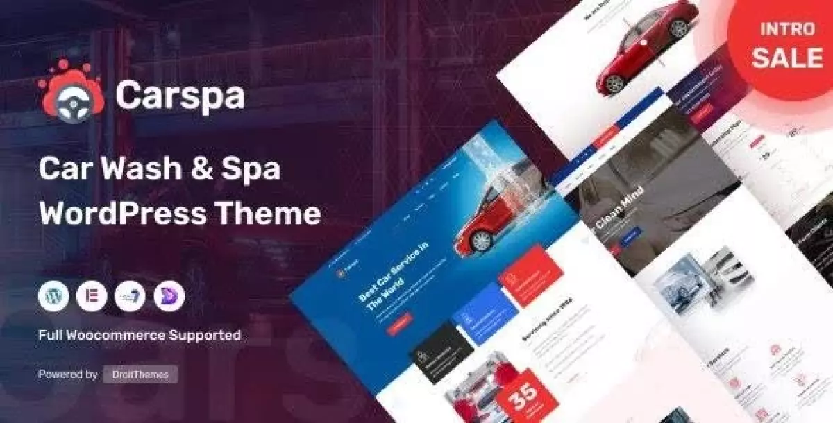 [WISH] Carspa - Motor Wash &amp; Cleaning WordPress