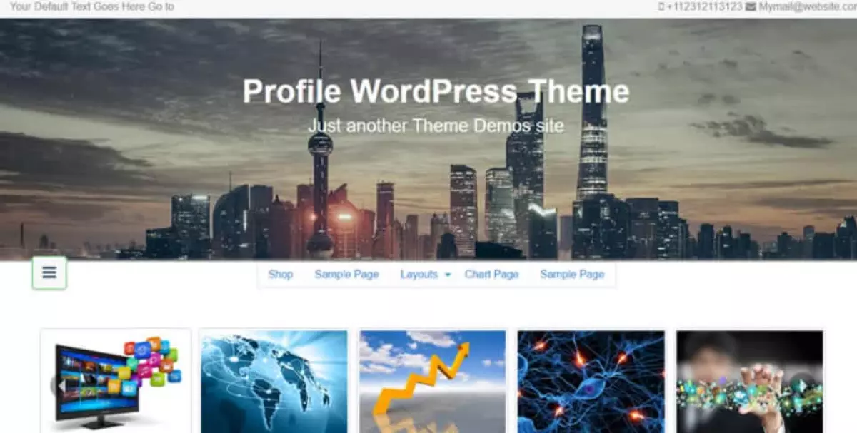 Profile Pro WordPress theme provided by InsertCart