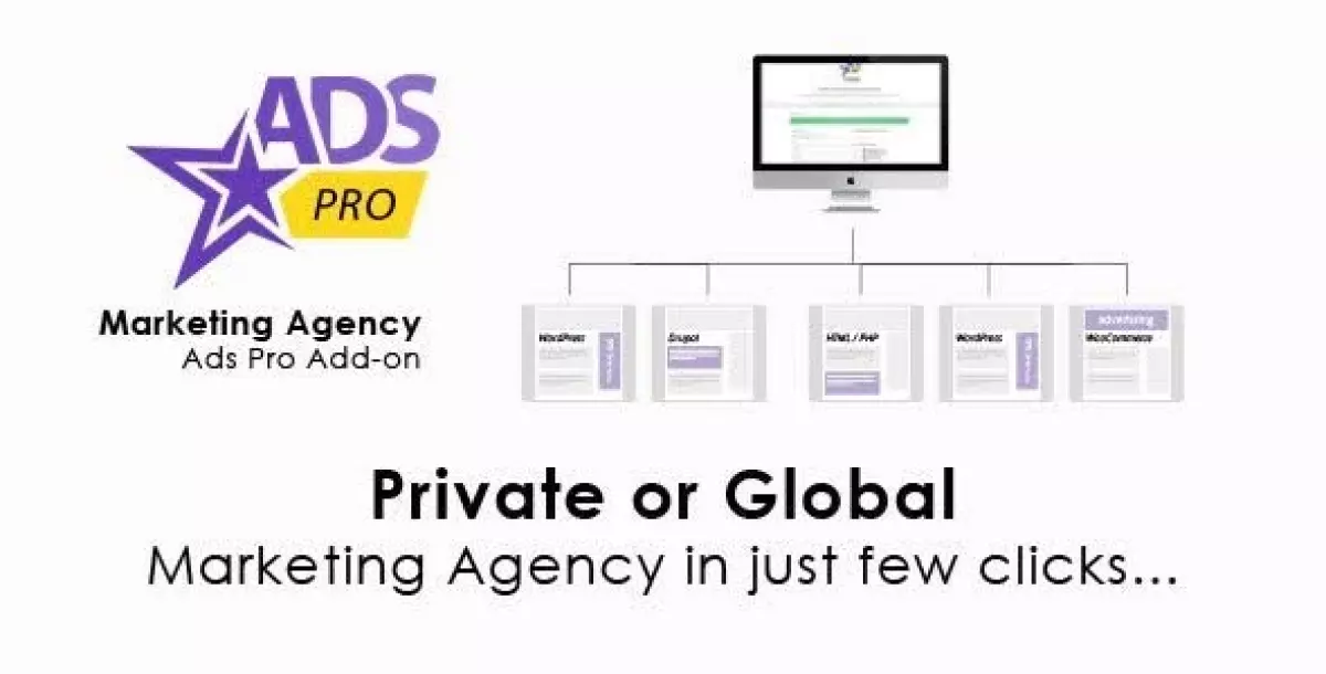 Ads Pro Add-on - WordPress Marketing Agency 1.1