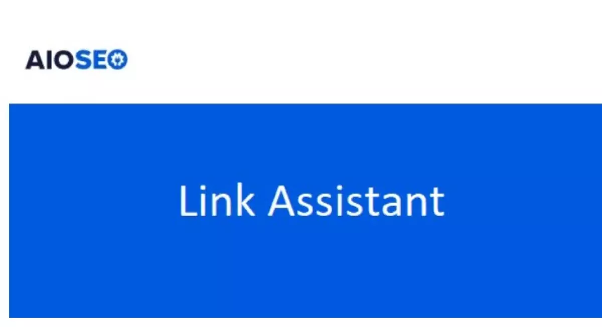 AIOSEO Link Assistant  1.1.1