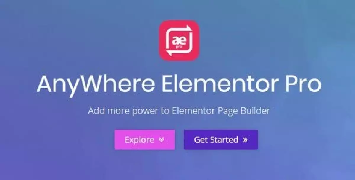 AnyWhere Elementor Pro  2.25.10	