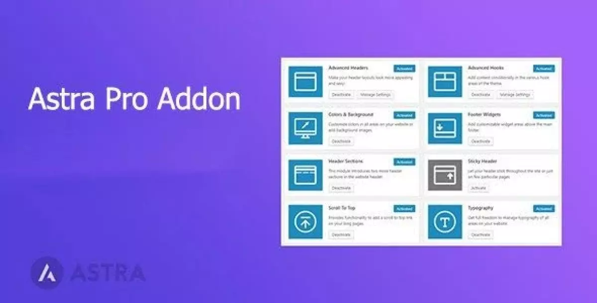 Astra Pro Addon  4.6.3