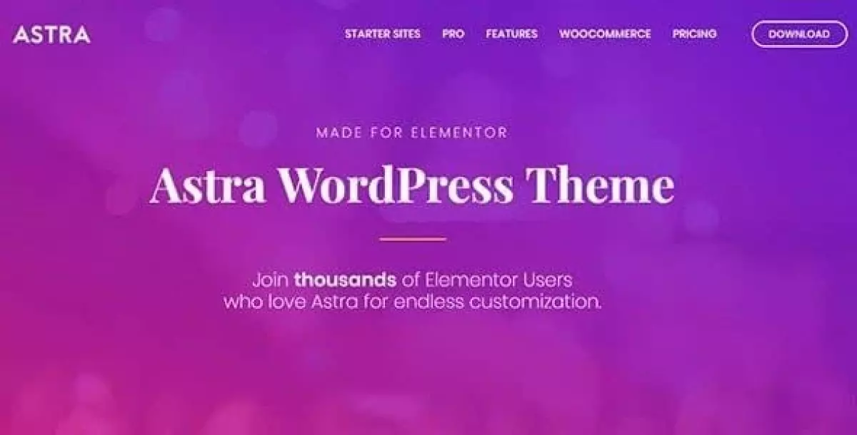 Astra WordPress Theme  4.6.4