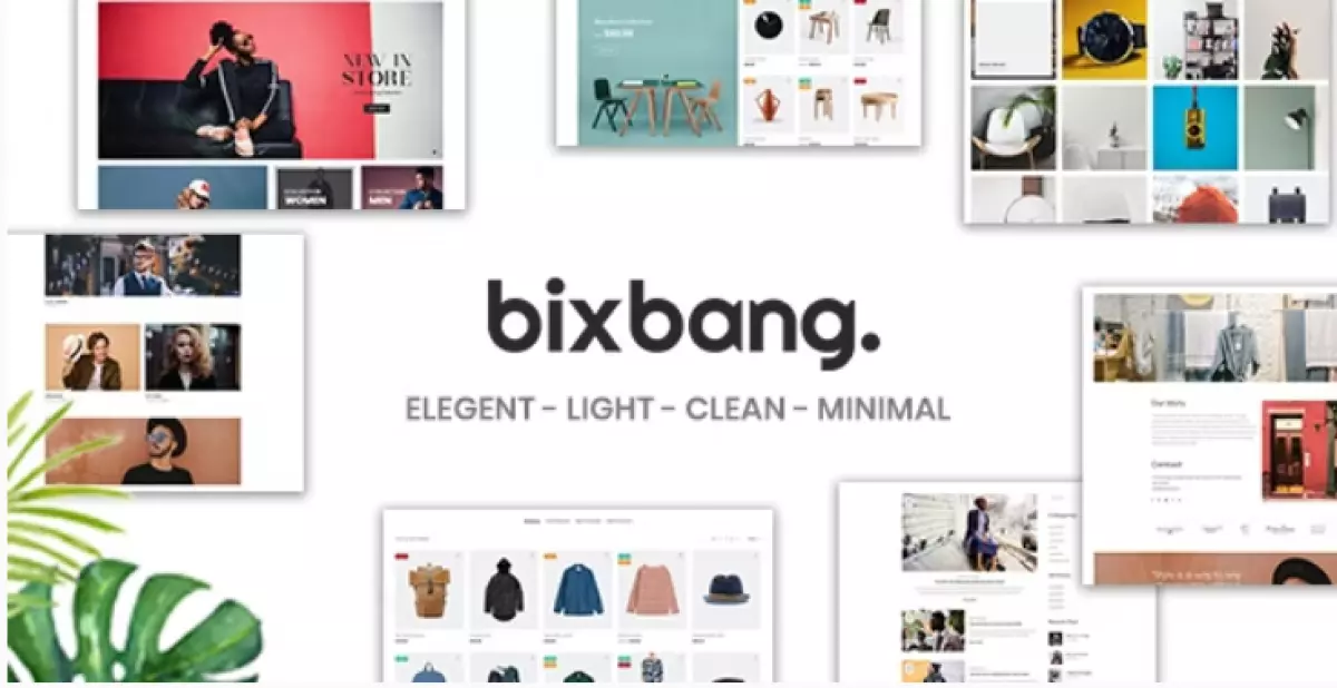 Bixbang - Minimalist eCommerce WordPress Theme for WooCommerce