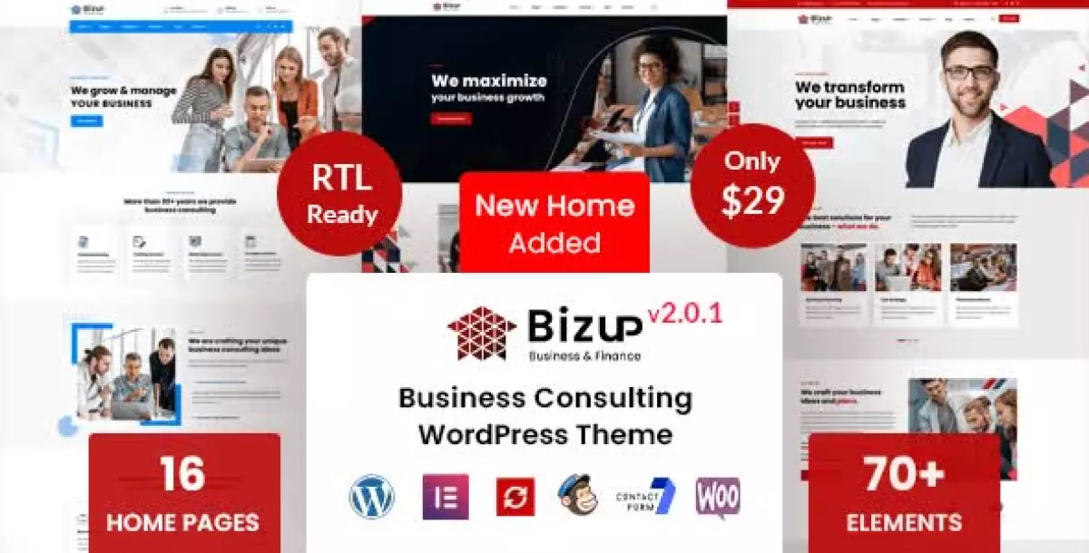 Bizup - Business Consulting WordPress Theme