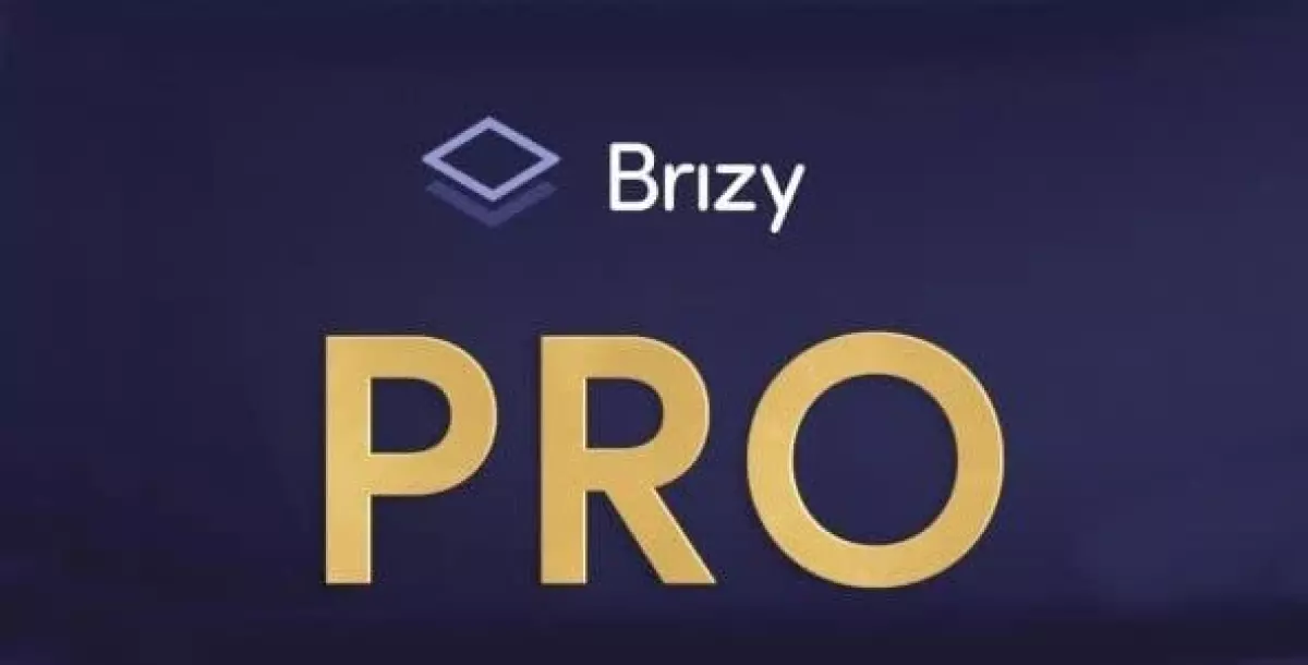 Brizy Pro  2.4.32