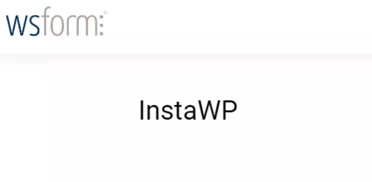 WS Form PRO InstaWP