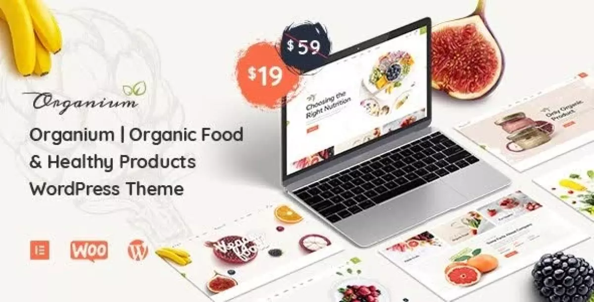 Organium | Healthy & Organic Food Woocommerce Theme