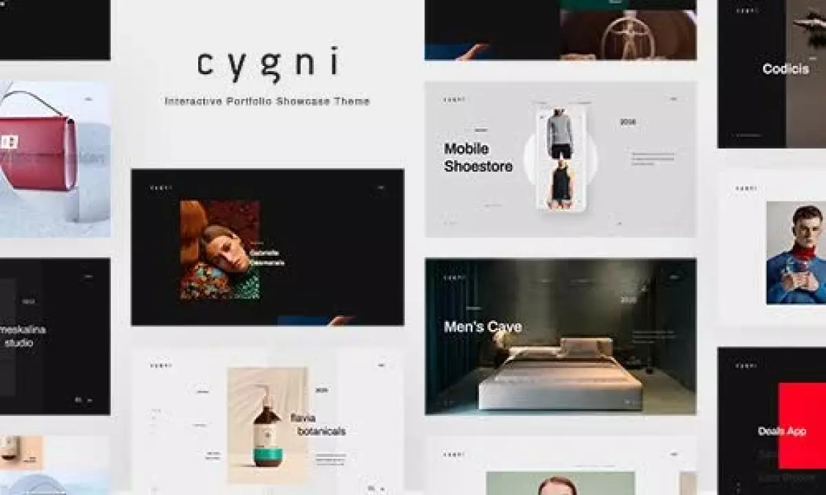 Cygni - Interactive Portfolio Showcase Theme 2.0.2