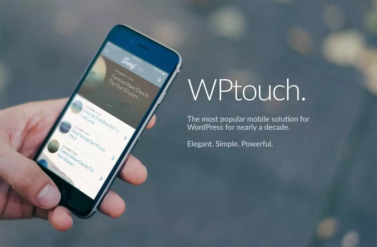 [WISH] WPtouch