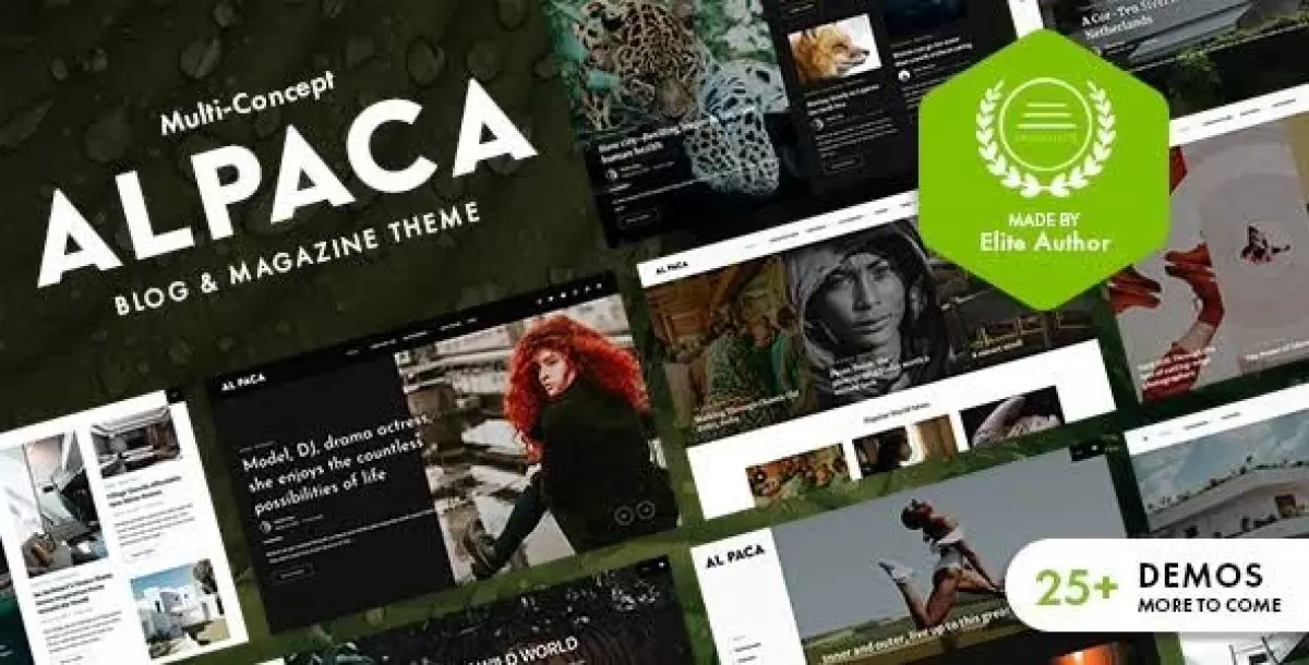 [WISH] Alpaca - Blog &amp; Magazine WordPress