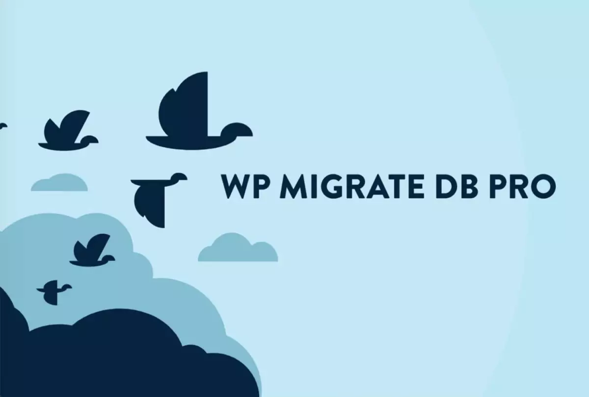 WP Migrate Media Files Addon