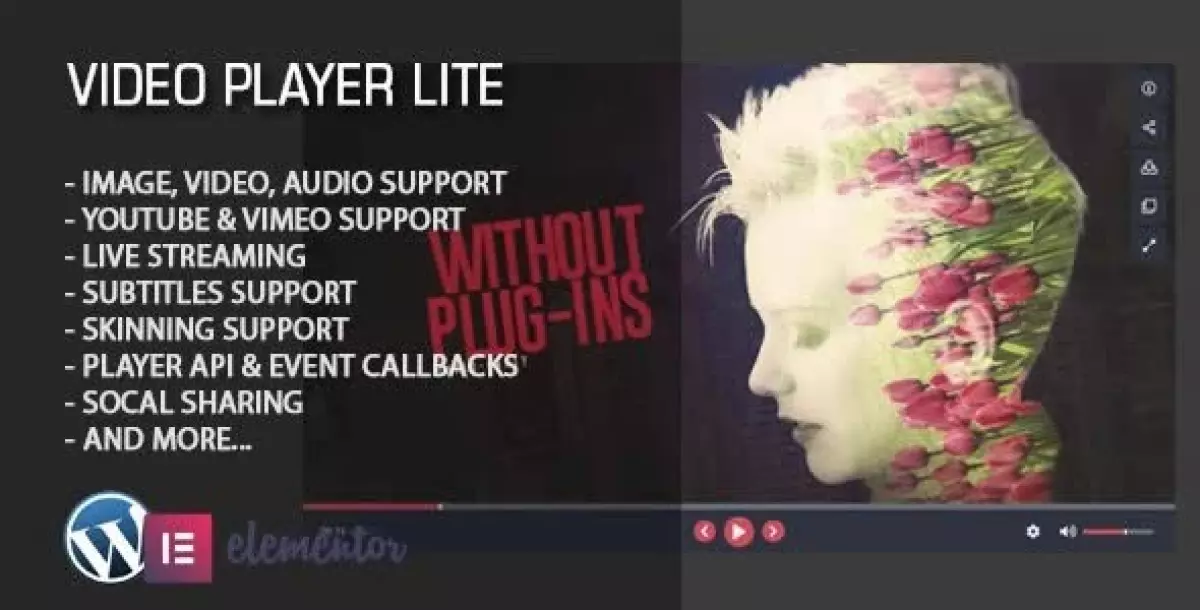 [WISH] Video Player Lite Elementor