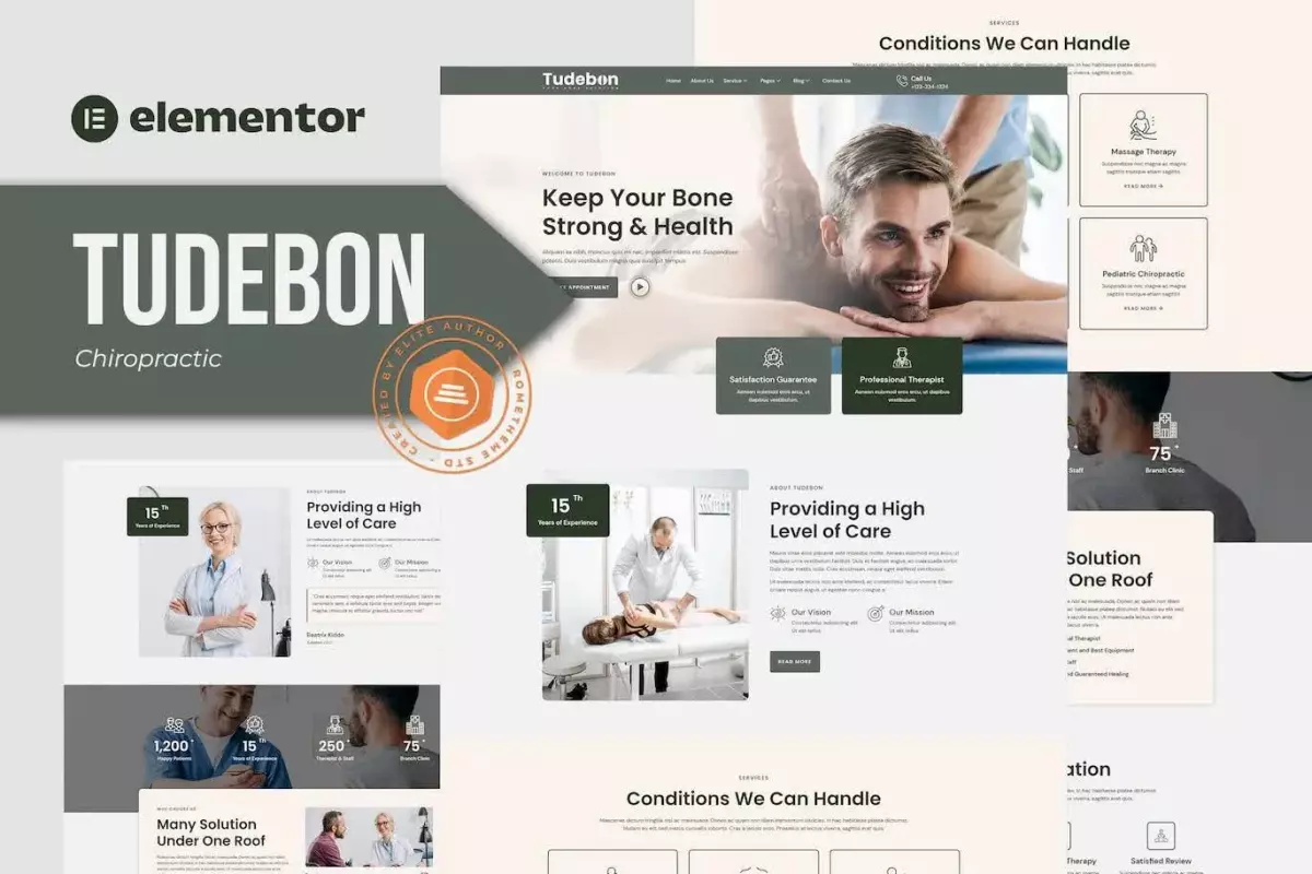 Tudebon - Chiropractic &amp; Physiotherapy Elementor Template