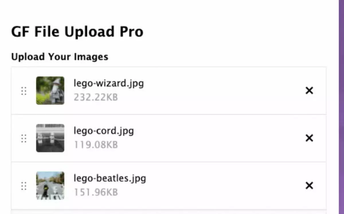 Gravity Forms File Upload Pro