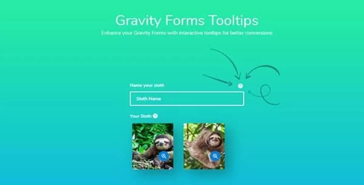 Gravity Forms Tooltips  1.1.43