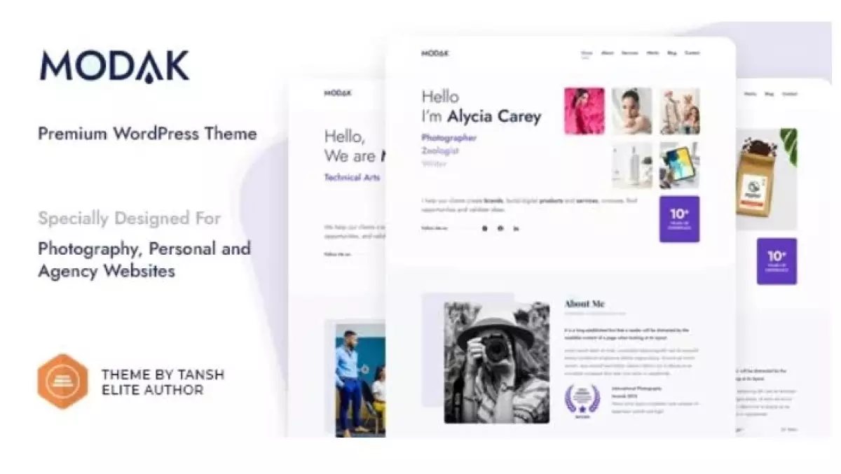 Modak - One Page WordPress Theme 1.0.1