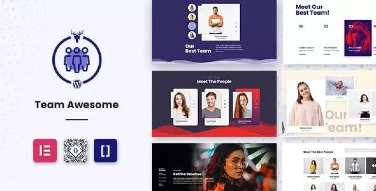[WISH] Team Awesome Pro - Team Member Showcase WordPress