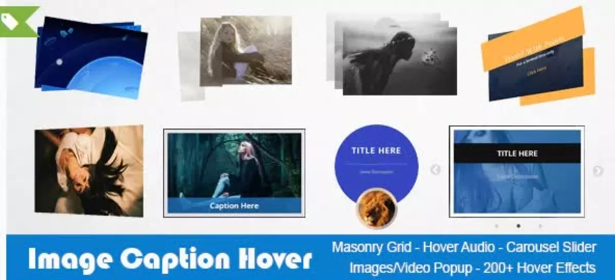Image Caption Hover Pro WordPress Plugin 19.2