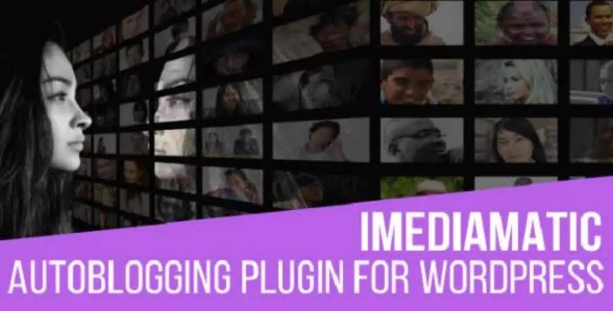 iMediamatic - Social Media Importer/Exporter Plugin for WordPress 1.9.0