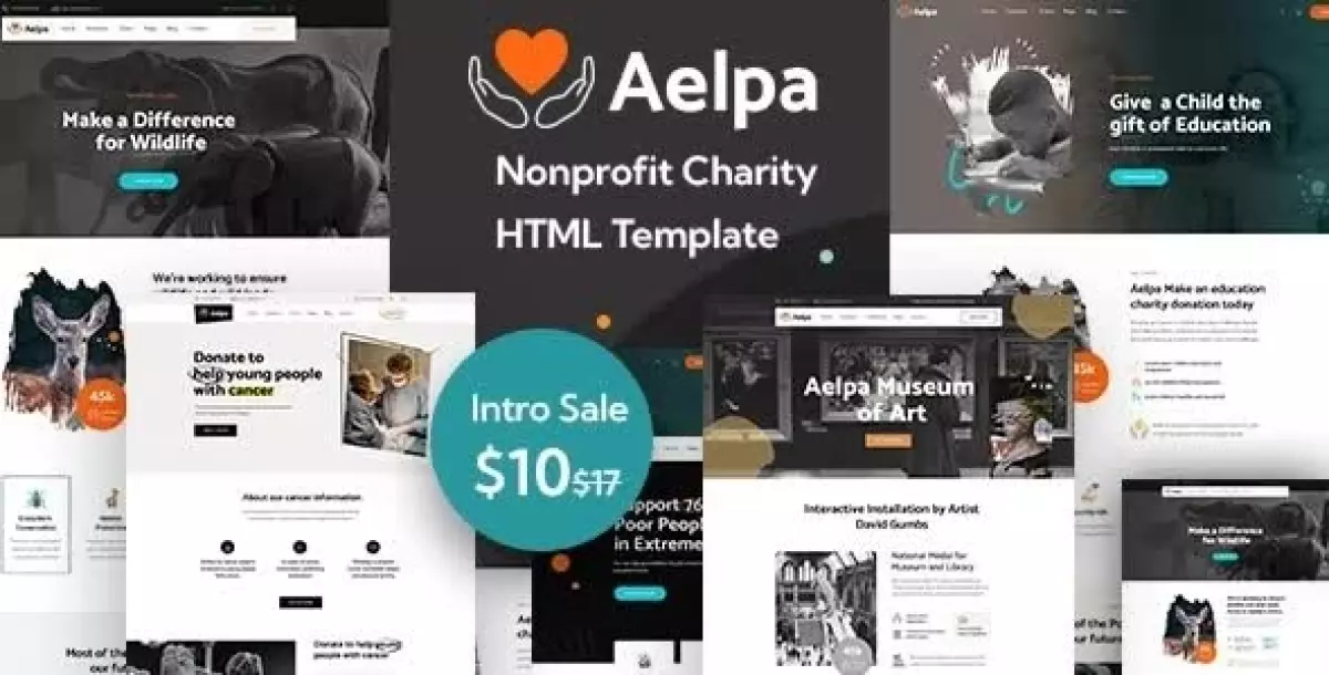 Aelpa - Nonprofit Charity WordPress Theme