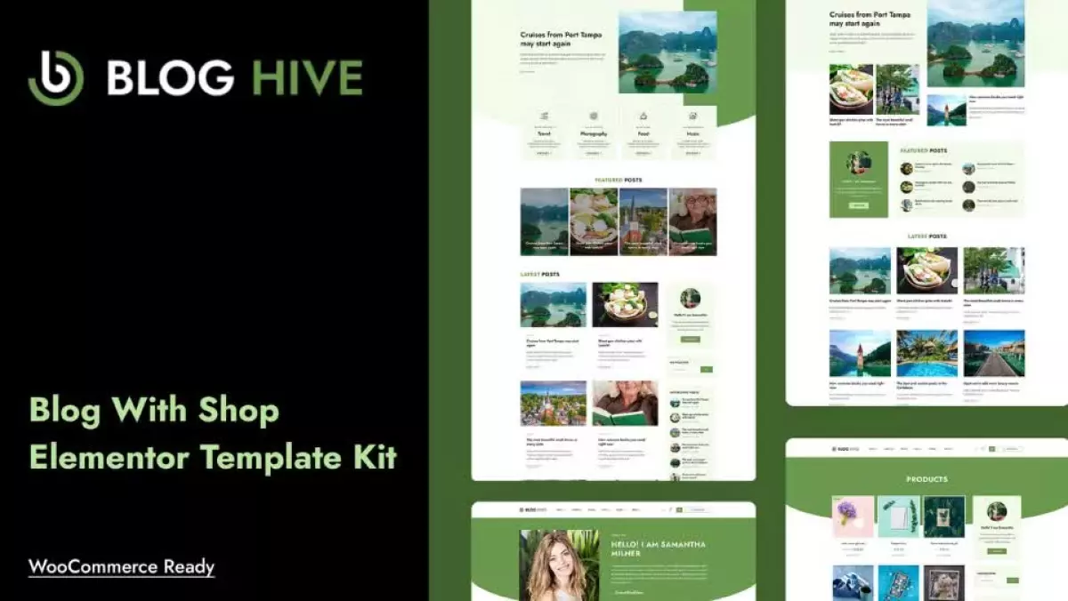 Blog Hive - Personal Blog Elementor Template