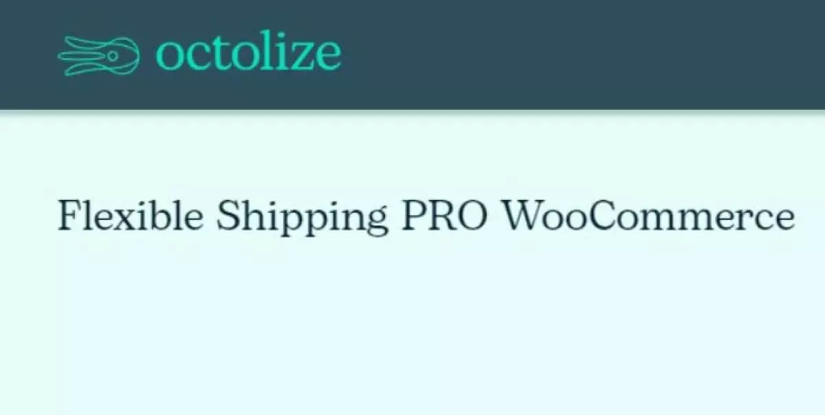 Octolize  – Flexible Shipping PRO WooCommerce