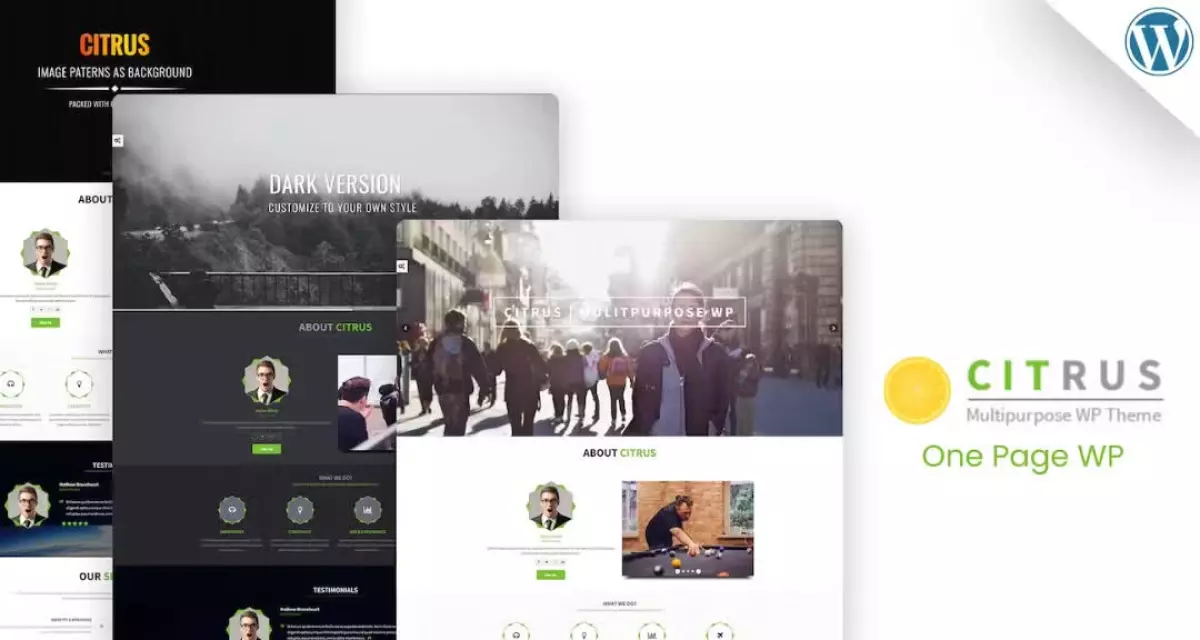 Citrus - One Page WordPress Theme
