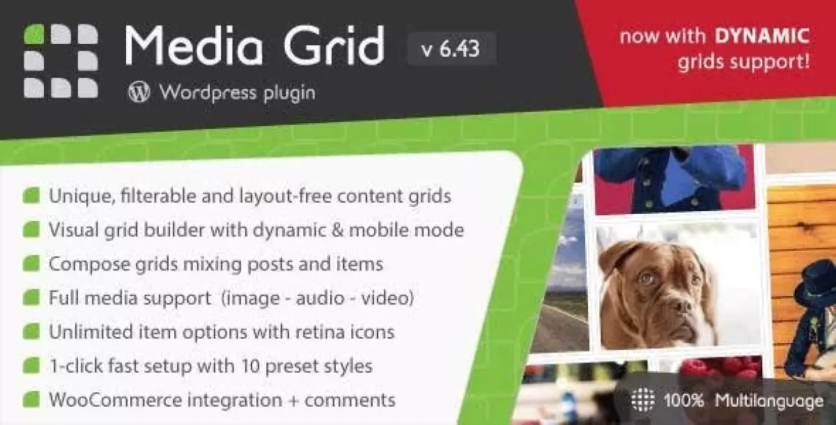 Media Grid - Wordpress Responsive Portfolio 7.6.1