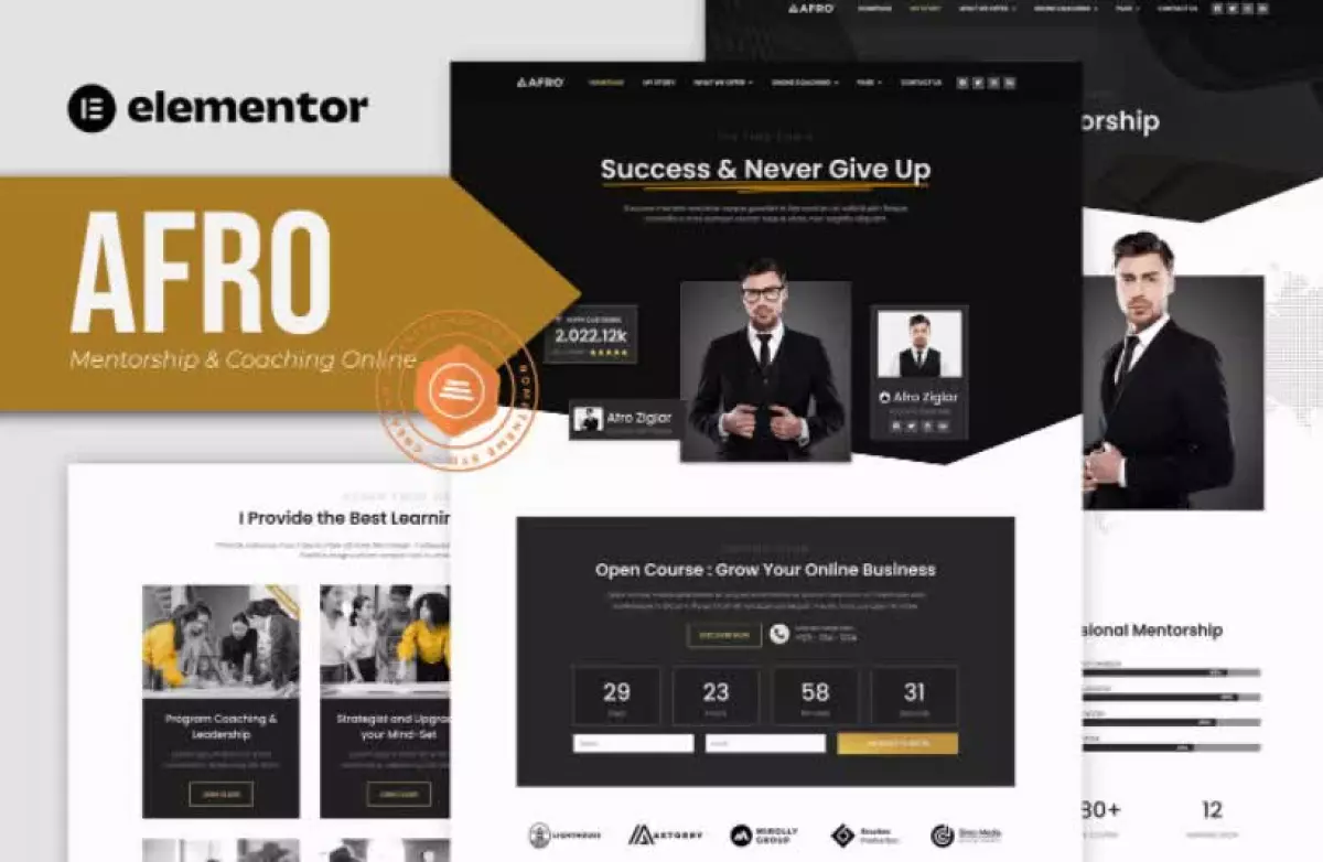 AFRO - Mentorship & Coaching Online Elementor Template