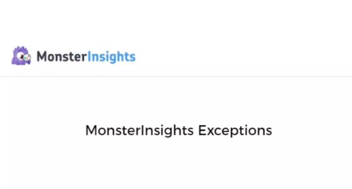 MonsterInsights Exceptions