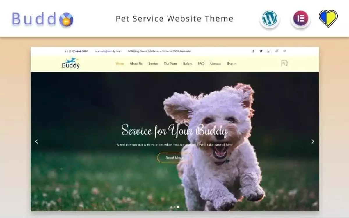 Buddy - Pet Service Website Elementor WordPress theme WordPress Theme