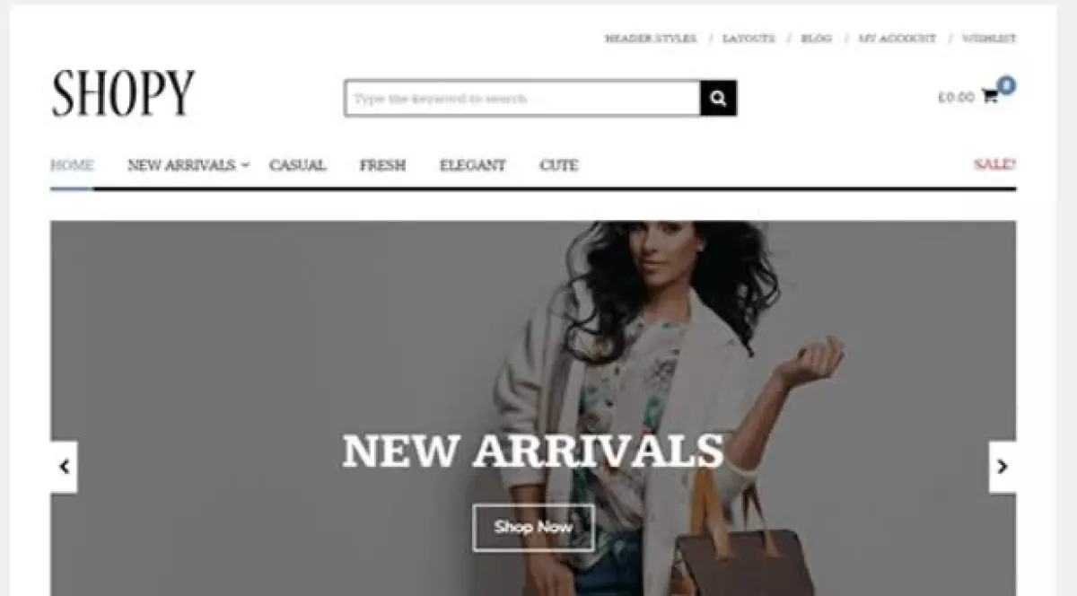 Theme Junkie – Shopy