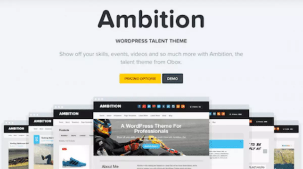 OboxThemes Ambition WordPress Theme