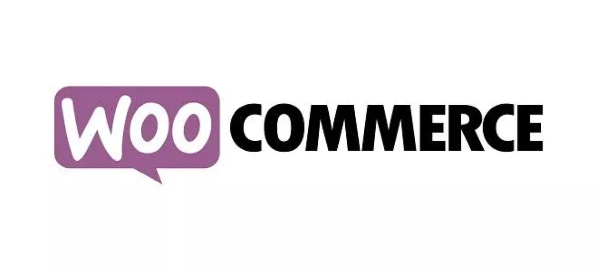 Odoo for WooCommerce 3.6.0 