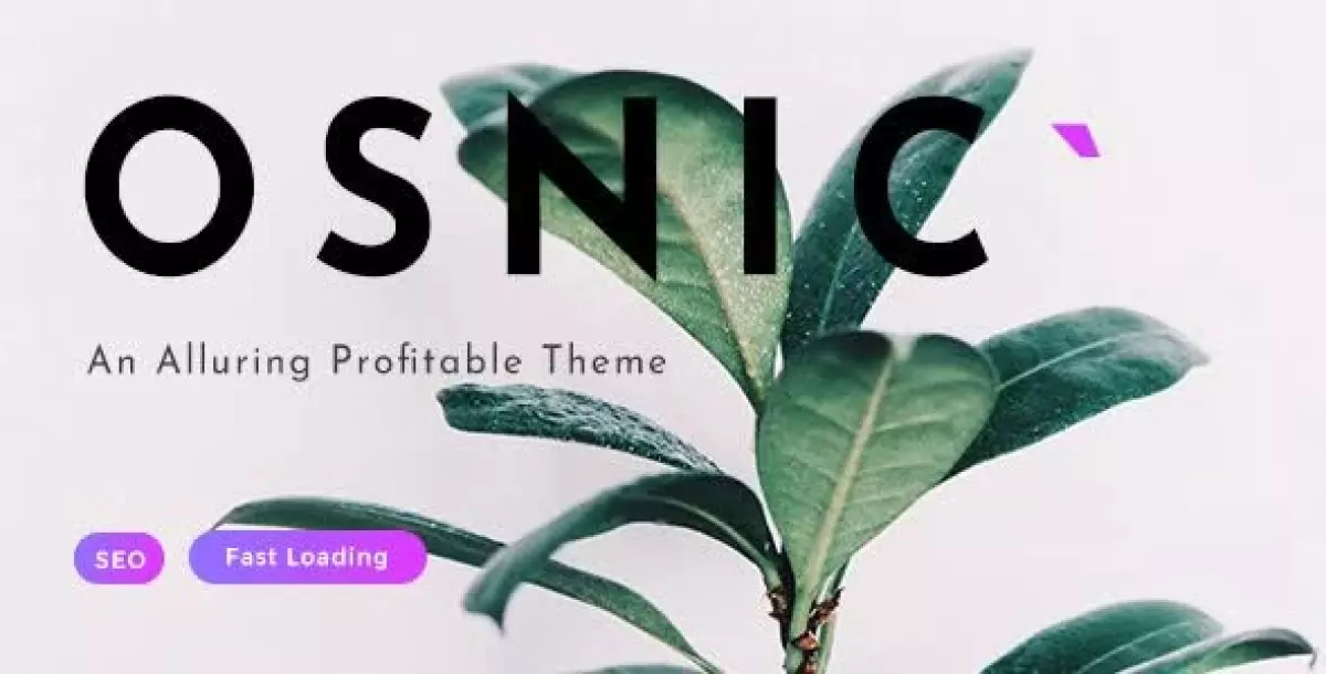 Osnic - Premium Adsense Theme 2.5.0