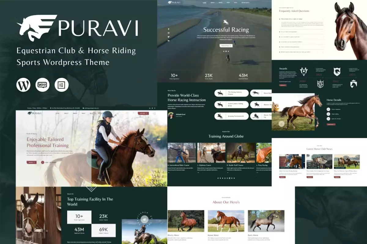 Puravi - Equestrian Club &amp; Horse Riding Theme