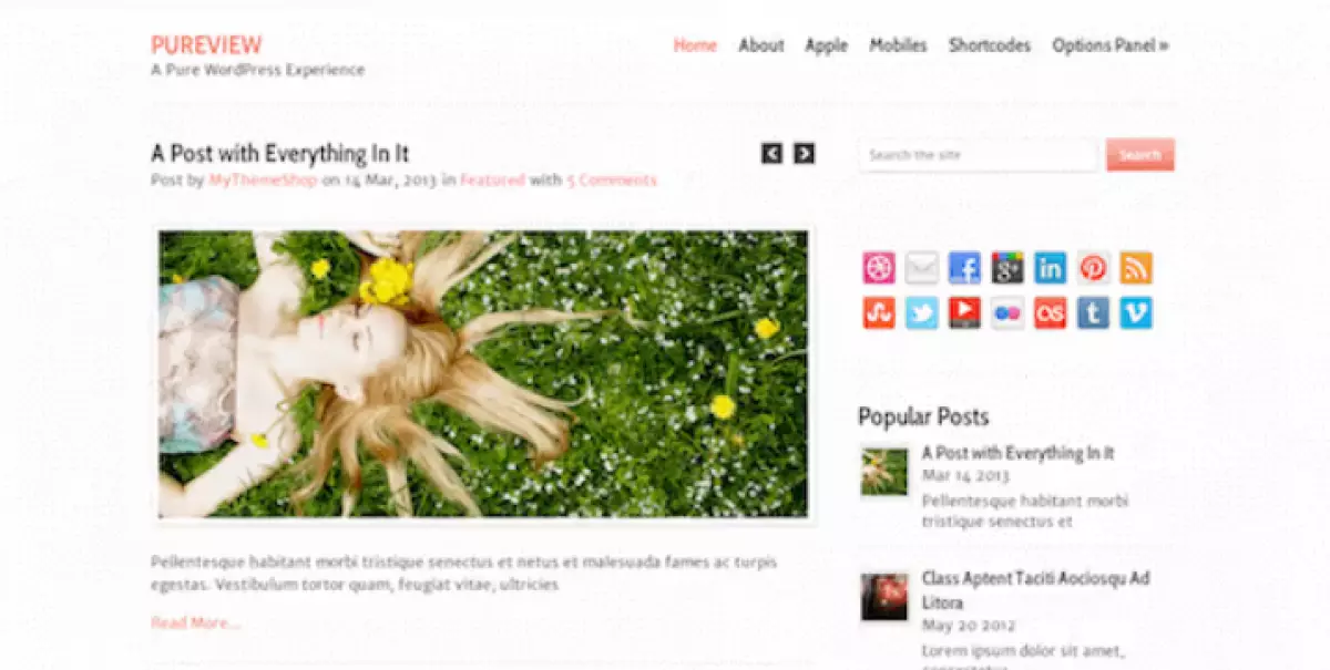 PUREVIEW  - LIGHTWEIGHT, FLEXIBLE &amp; POWERFUL WORDPRESS THEME